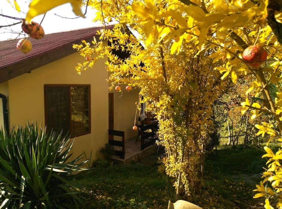 Yellow Villa Sinemoretz Bagian luar foto